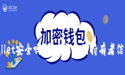 tpWallet安全吗？警察能查到持有者信息吗？