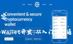提取所需内容全面掌握tpWallet开发：从入门到精通