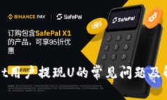 tpWallet用户提现U的常见问题及解决方案