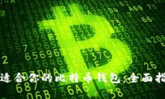 如何选择适合你的比特币钱包：全面指南与推荐