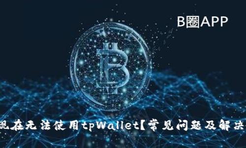  为什么现在无法使用tpWallet？常见问题及解决方案解析