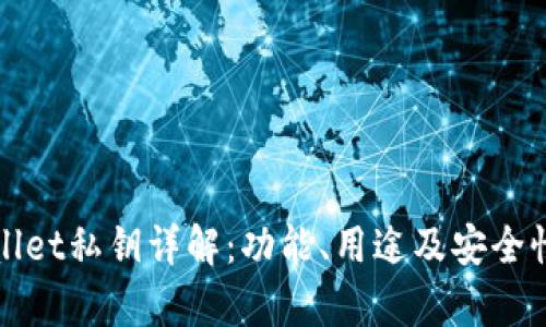tpWallet私钥详解：功能、用途及安全性分析