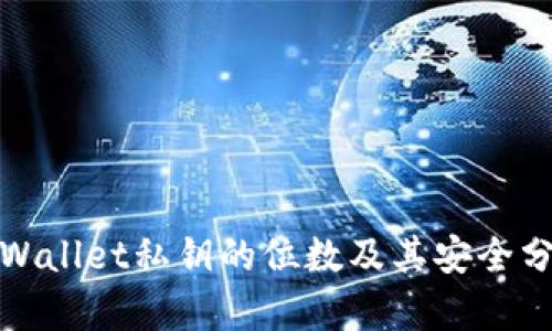 tpWallet私钥的位数及其安全分析