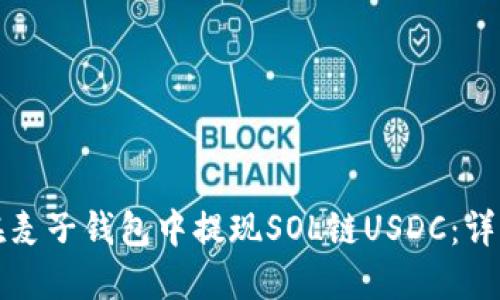 如何在麦子钱包中提现SOL链USDC：详细指南
