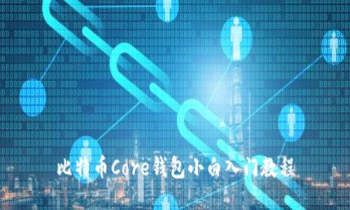 比特币Core钱包小白入门教程