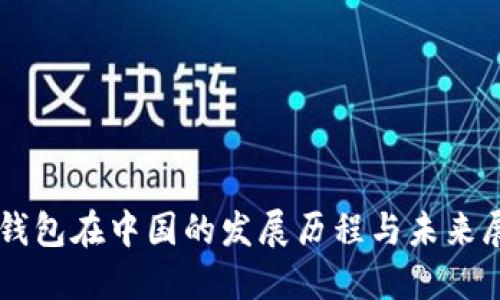 云钱包在中国的发展历程与未来展望