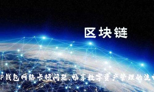 解决TP钱包网络卡顿问题，畅享数字资产管理的流畅体验