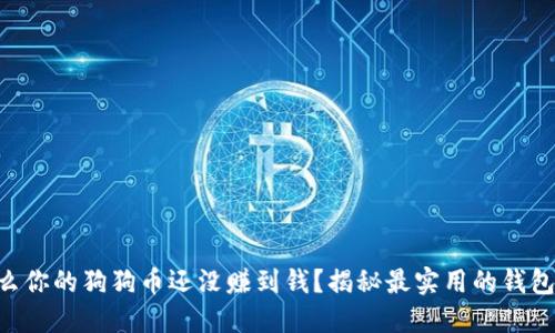 为什么你的狗狗币还没赚到钱？揭秘最实用的钱包选择!