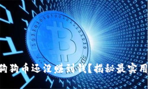 为什么你的狗狗币还没赚到钱？揭秘最实用的钱包选择!