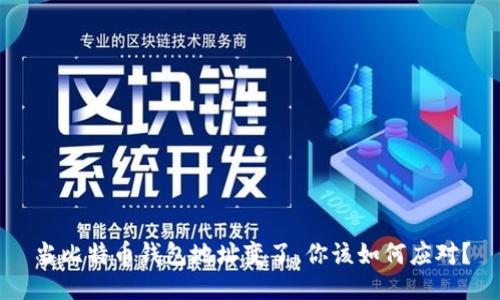 当比特币钱包地址变了，你该如何应对？