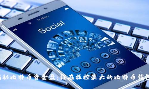 揭秘比特币资金盘：谁在操控最大的比特币钱包？
