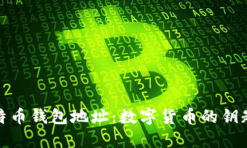 探索比特币钱包地址：数字货币的钥匙与秘密