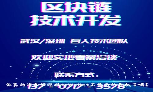 你真的准备好迎接tpWallet不显示的危机了吗？
