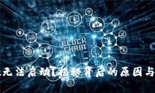 tpWallet无法启动？揭秘背后的原因与解决方案