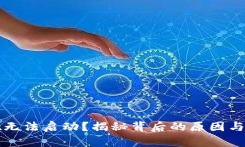 tpWallet无法启动？揭秘背后的原因与解决方案