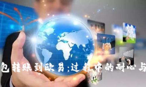 TP钱包转账到欧易：过程中的耐心与技巧