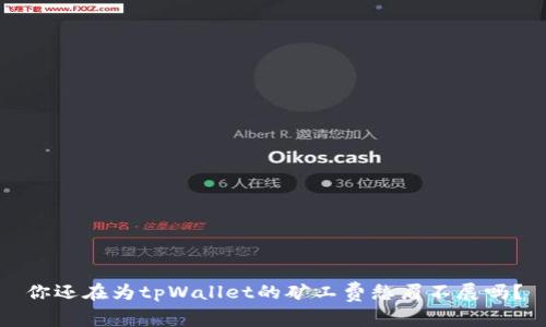 你还在为tpWallet的矿工费愁眉不展吗？