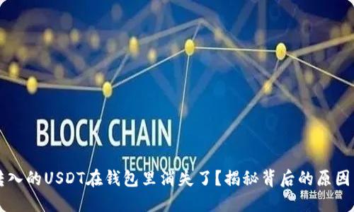 为什么你转入的USDT在钱包里消失了？揭秘背后的原因与解决方案