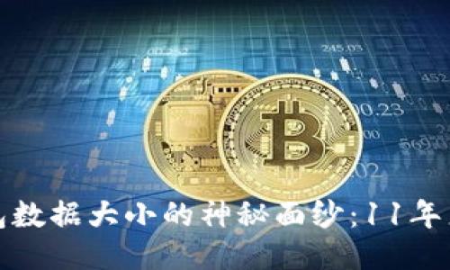 揭开比特币钱包数据大小的神秘面纱：11年来的变迁与挑战