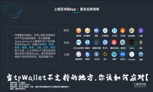 当tpWallet不支持的地方，你该如何应对？