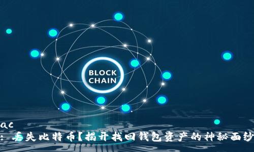 ac
: 丢失比特币？揭开找回钱包资产的神秘面纱
