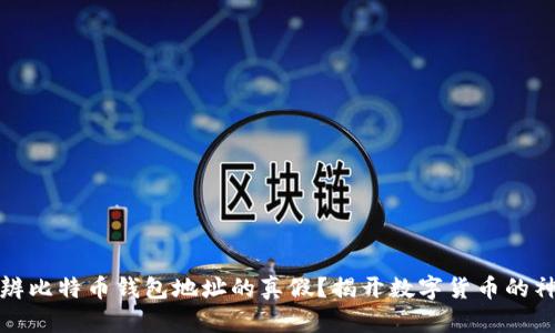 如何分辨比特币钱包地址的真假？揭开数字货币的神秘面纱