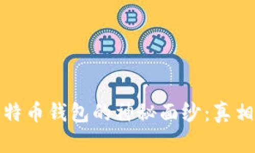 揭开比特币钱包的神秘面纱：真相与误解