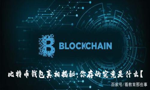 比特币钱包真相揭秘：你存的究竟是什么？