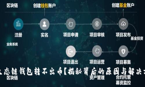 TP生态链钱包转不出币？揭秘背后的原因与解决方案
